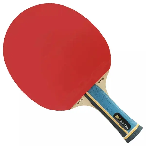 OUTDOOR BAT TABLE TENNIS SET