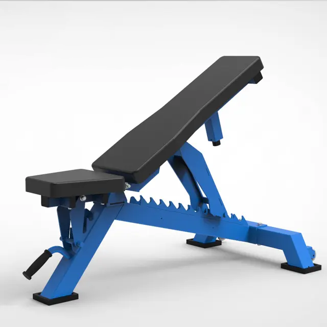 Multifunctional indoor adjustable flat bench to practice weights