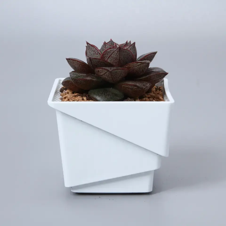 Succulent Plant Flower Pot Square Box Decorative Container Garden Supplies