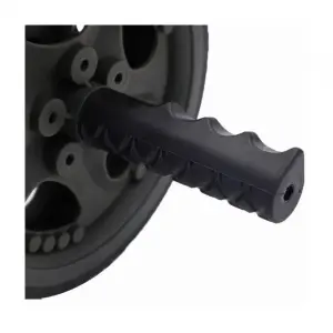 Gym double stabilizer exerciser