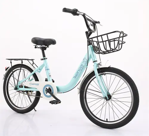 20” _22” City Bike Bicycle for Man Woman Mountain Bike Cycle New Adult Bike City Road Bicycle
