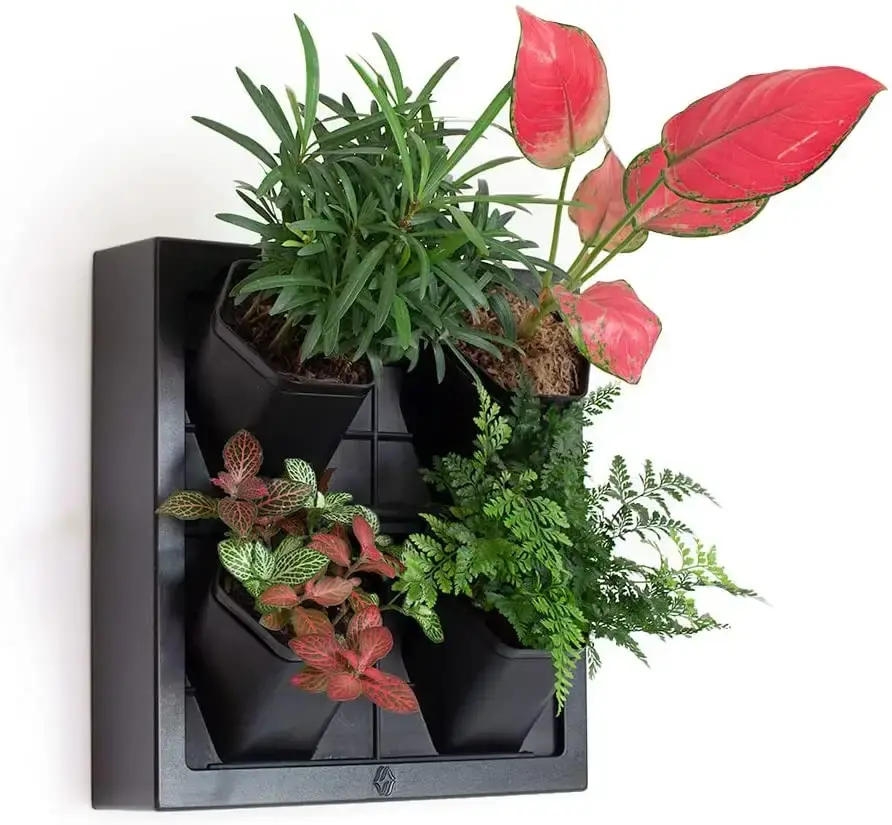 New Design Self-Watering Planter for The Home Artist of Green Wall 4 Pots Wall Planter
