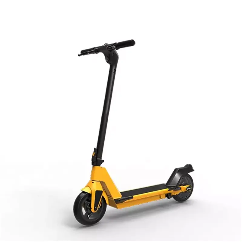 Customized new fashion sports scooter