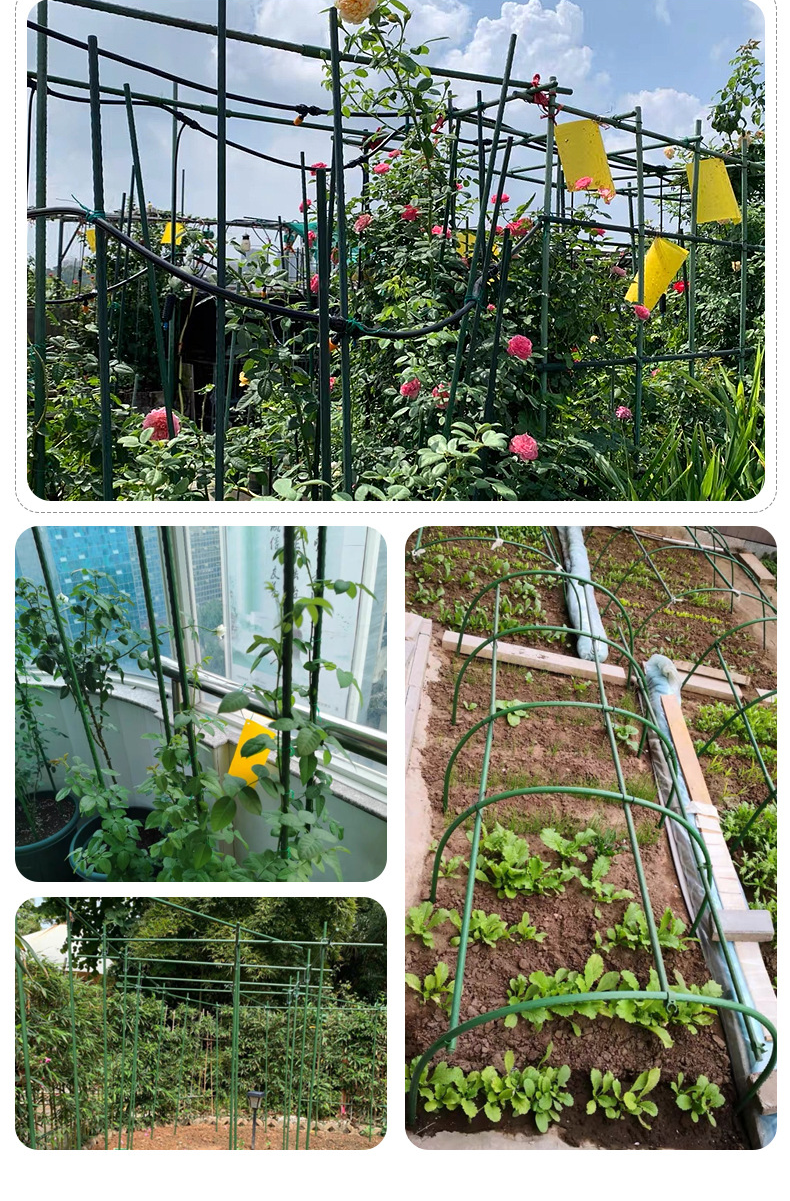 Amazon Cucumber Tomato Plant Growth Support Rod Home gardening rack supplies Planting climbing cane frame Plastic coated steel pipe