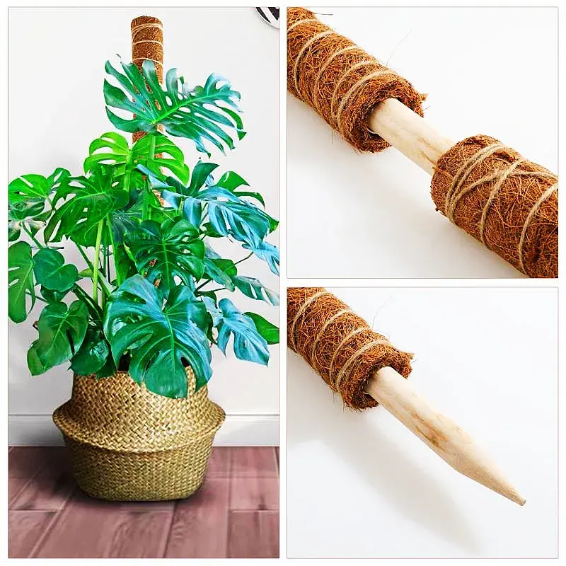 2-pack Garden Plant Support Stackable Climbing Thicken Coco Totem Stick Moss Pole Moss Stick