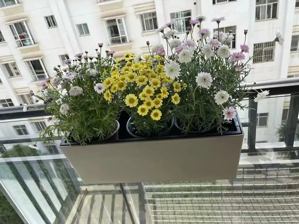 indoor or outdoor gardening supplies wall mounted planter plastic flower pots