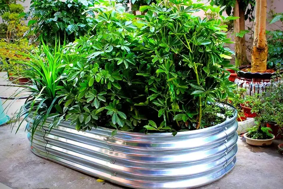 planters box steel raised garden bed / metal steel vegetable planter raised garden beds