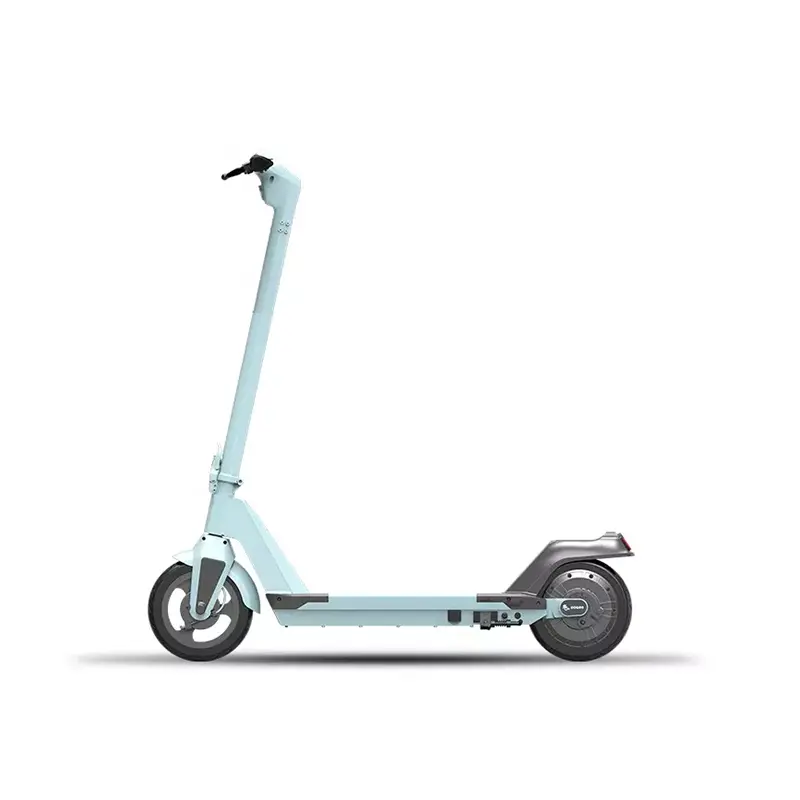 Customized new fashion sports scooter