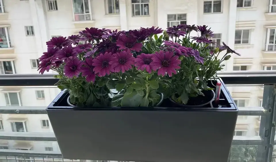 indoor or outdoor gardening supplies wall mounted planter plastic flower pots