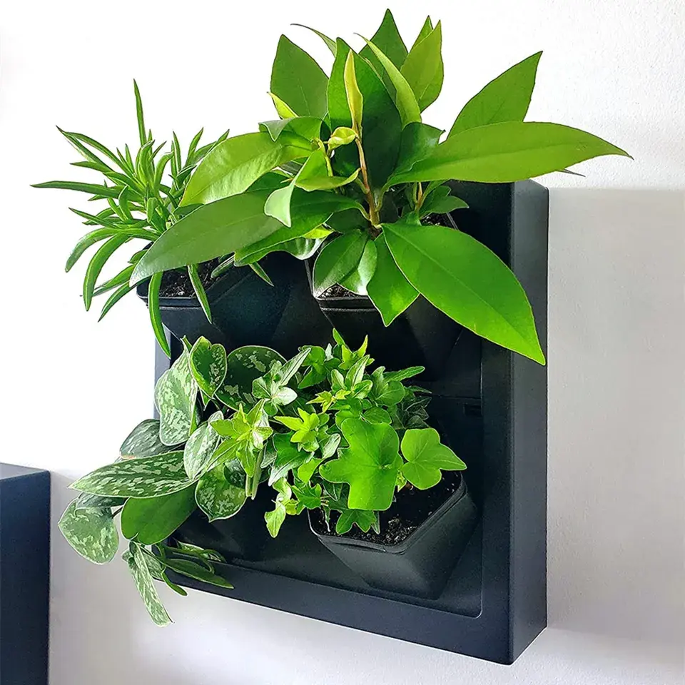New Design Self-Watering Planter for The Home Artist of Green Wall 4 Pots Wall Planter