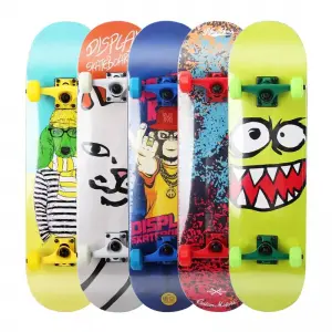 Professional Skateboard Maple Origin Deck Skateboard for Adults
