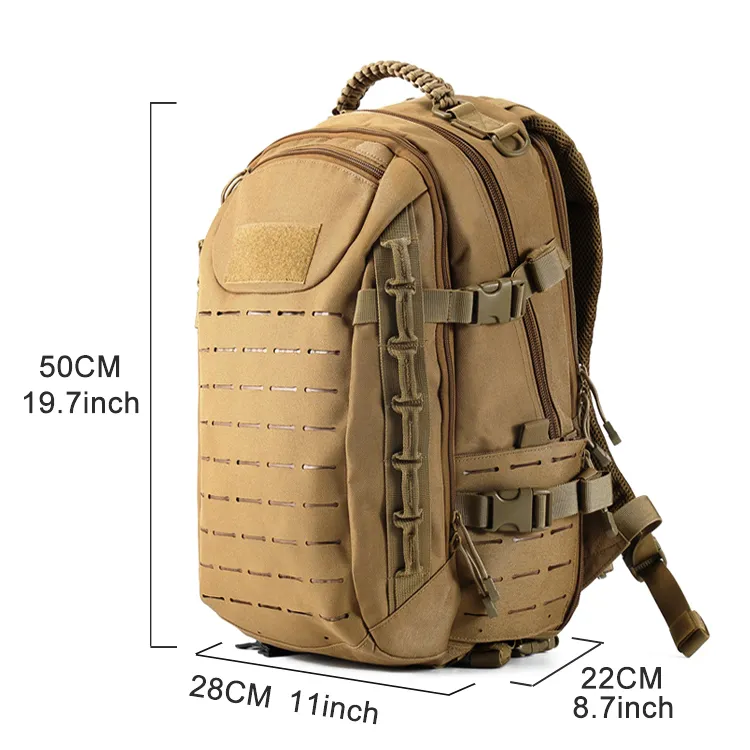 10fcd0a1a2781aa34aedea4ed6c5391