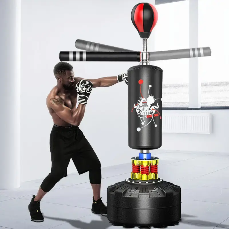Multifunctional boxing gym equipment